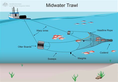 What Is TRAWL FISHING .